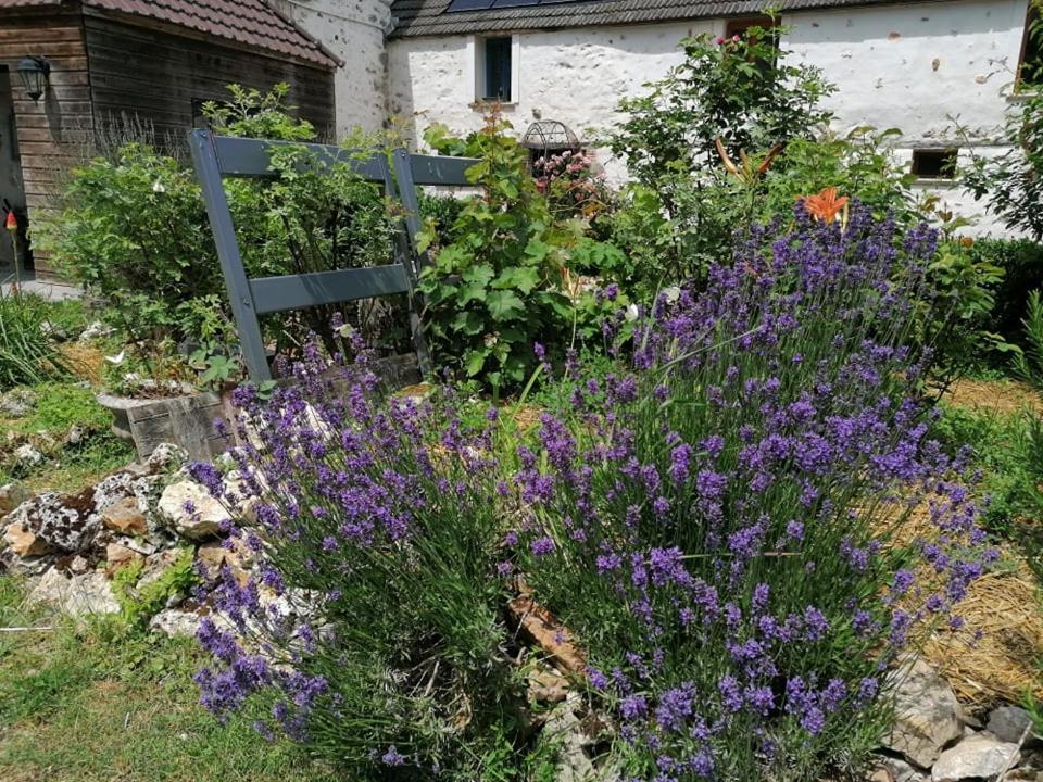 Hotellerie Jardiniers Gourmands Morsains Bagian luar foto