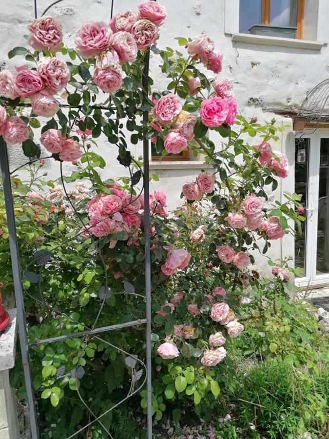 Hotellerie Jardiniers Gourmands Morsains Bagian luar foto