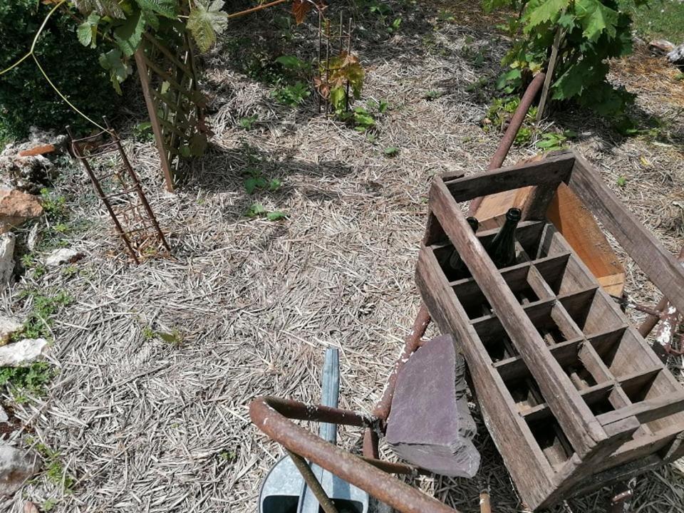 Hotellerie Jardiniers Gourmands Morsains Bagian luar foto